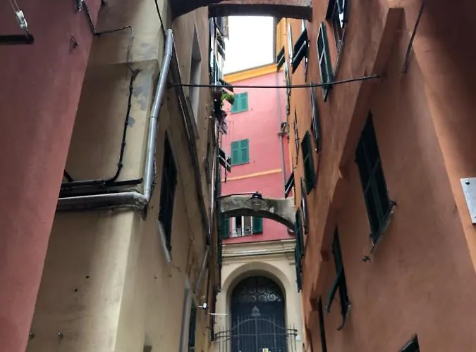 Casetta Dello Zucchero Citra 010025-lt-1250