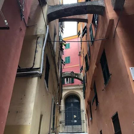 Casetta Dello Zucchero Citra 010025-lt-1250